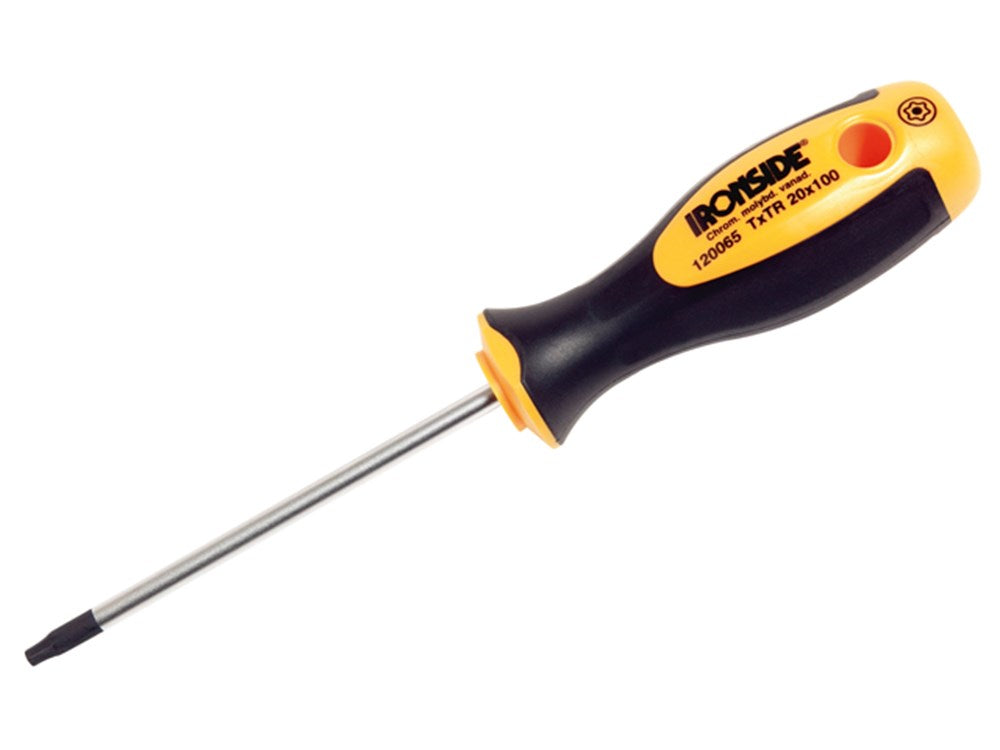 SCHROEVENDRAAIER TXT 10X100 ROND BLAD CR/MO - IR120061
